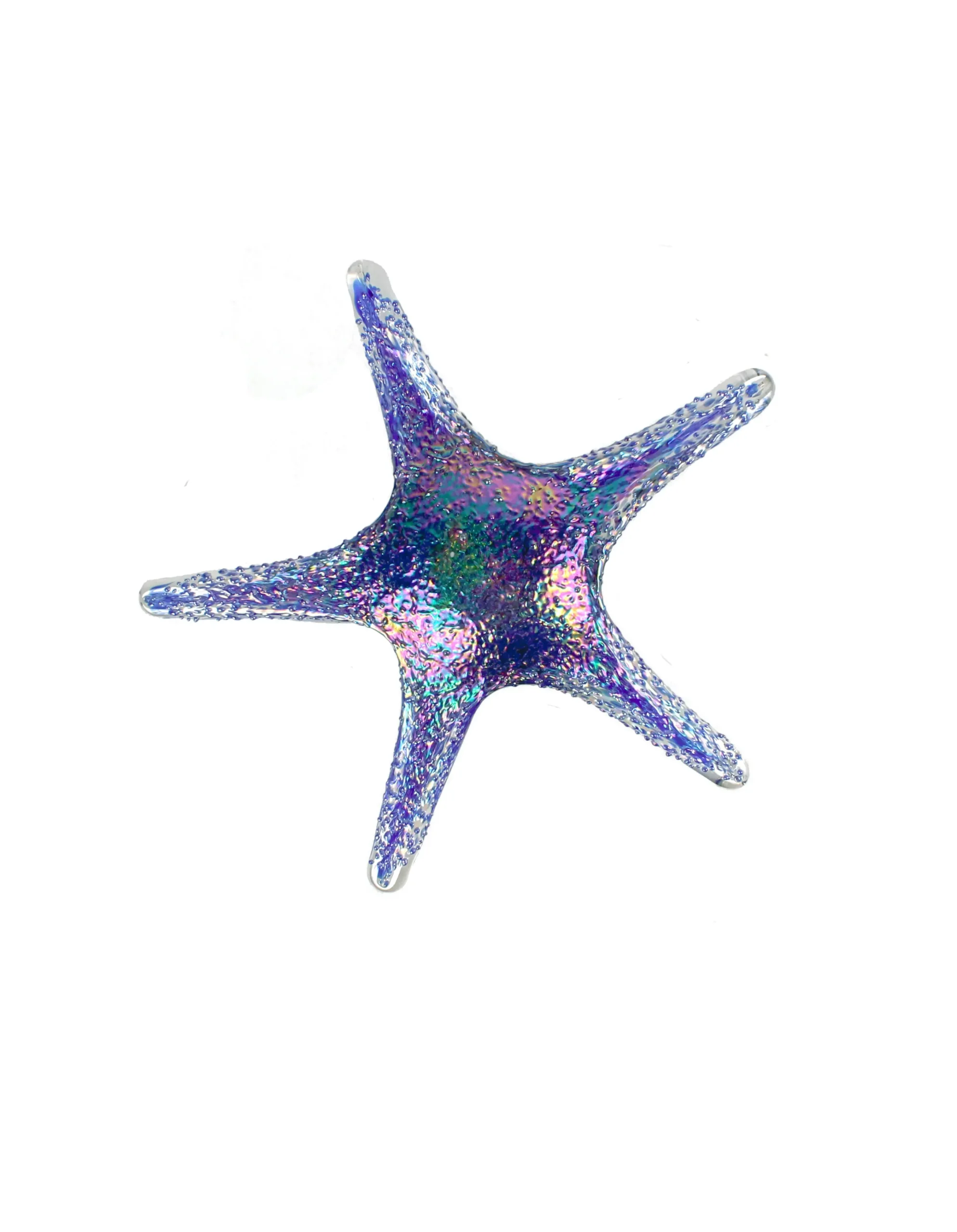 Viz Glass 7841BIR Tropical Starfish Wall Art