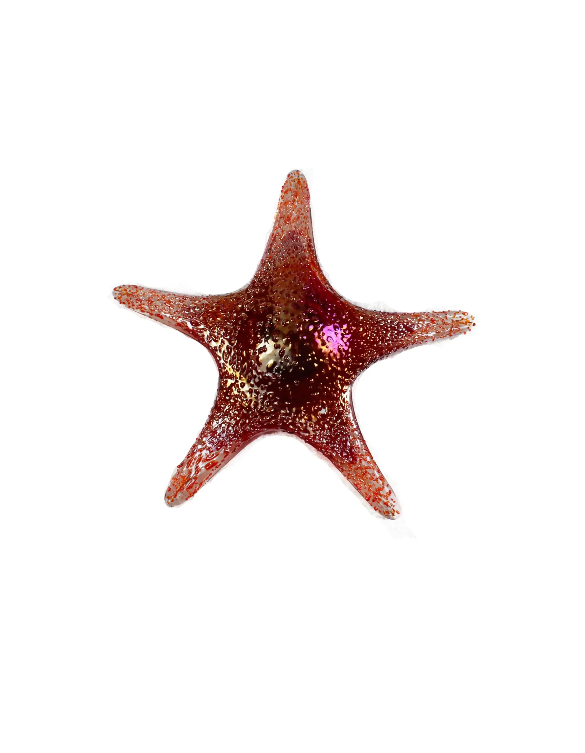 Viz Glass 7840BIR Tropical Starfish Wall Art