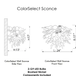 Viz Glass ColorSelect Mint Macaroon Blown Glass Wall Sconce