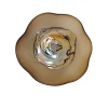 Viz Glass N7005B Natura Ceiling Glass