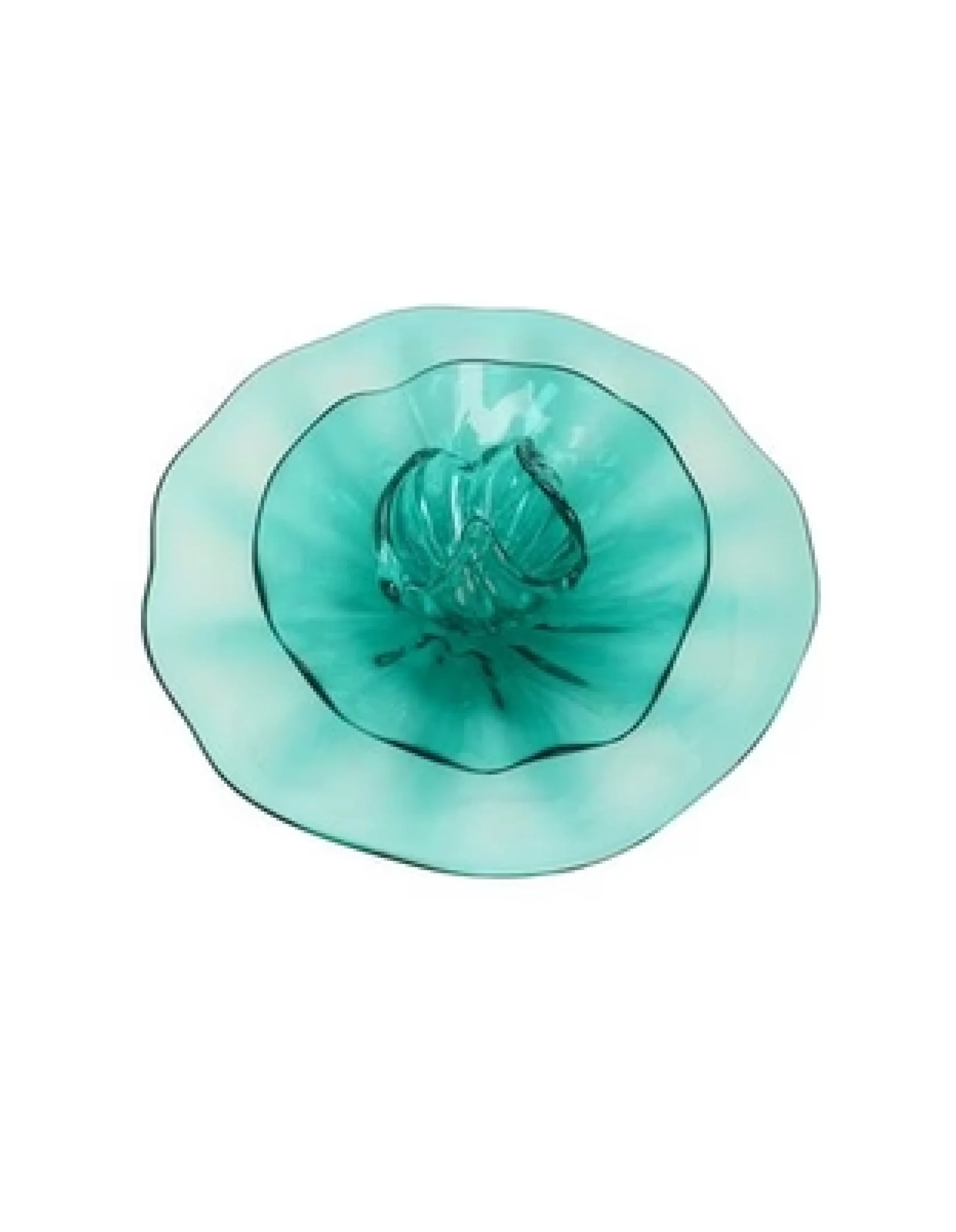 Viz Glass NW4955DGBIR Poppy Flower Wall Art