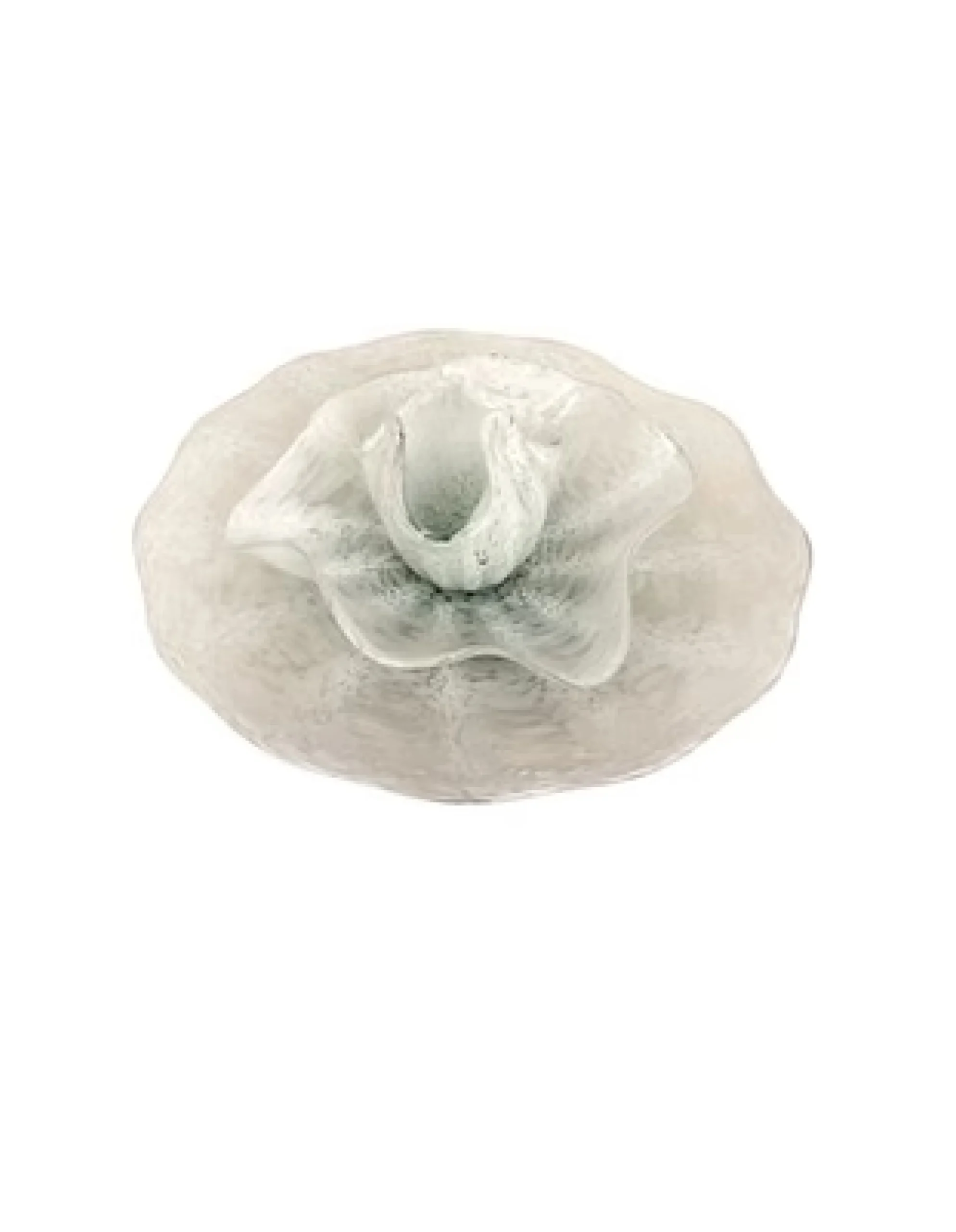 Viz Glass NW4955IBIR Poppy Flower Wall Art