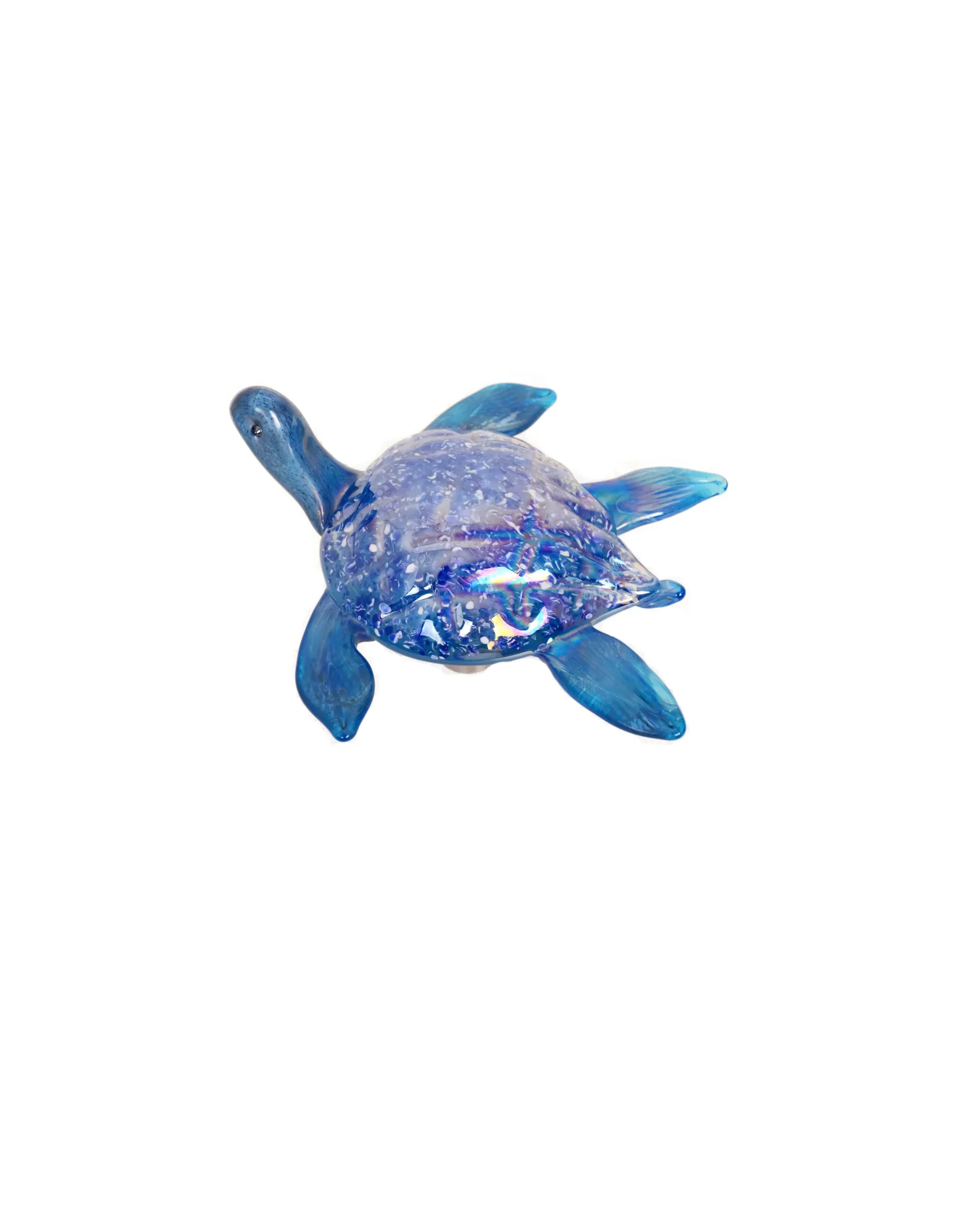 Viz Glass 7820SIR Tropical Sea Turtle Wall Art