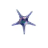 Viz Glass 7841SIR Tropical Starfish Wall Art