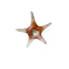 Viz Glass 7842SIR Tropical Starfish Wall Art