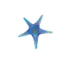 Viz Glass 7843SIR Tropical Starfish Wall Art